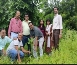 Tree Plantation Programme